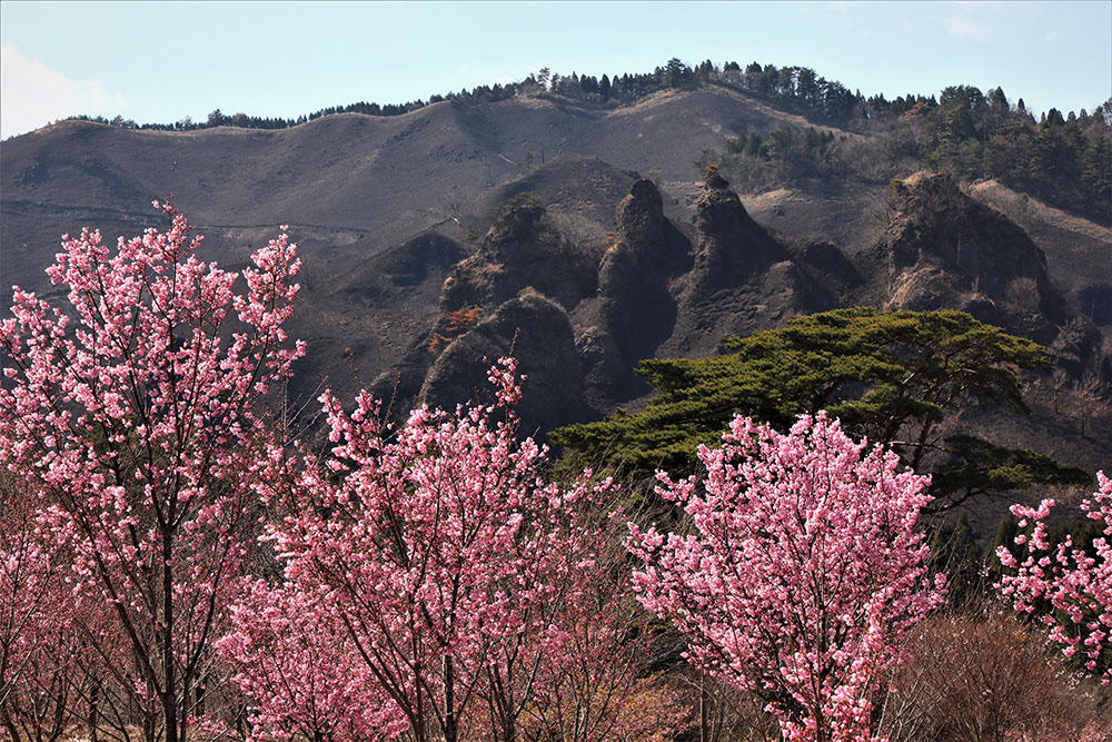 第7回 富士フイルム九州杯 ”地下水を守るんだ”フォトコンテスト 入賞作品