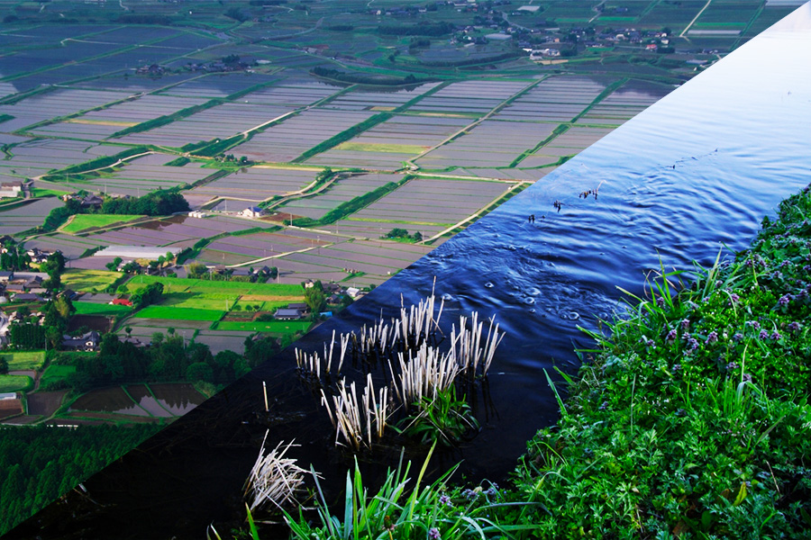 南阿蘇村環境保全農業とは
