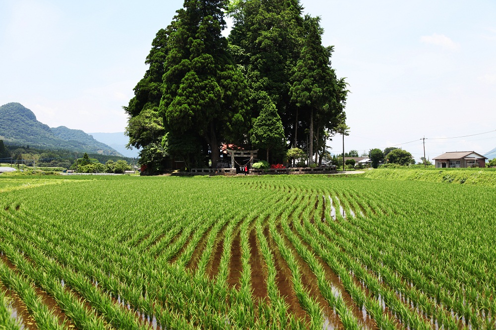 第4回『地下水を守るんだ』フォトコンテスト　入賞作品