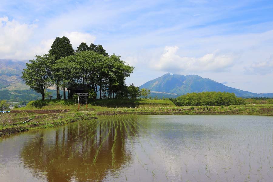 地下水を守るん田゛